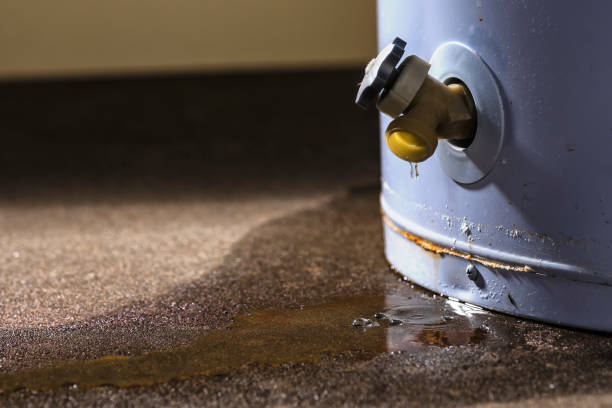 Best Water damage restoration near me  in Rural Hall, NC