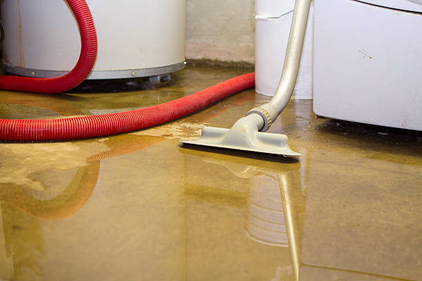 Best Water damage restoration near me  in Rural Hall, NC