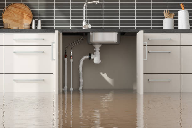 Best 24-hour water damage restoration  in Rural Hall, NC