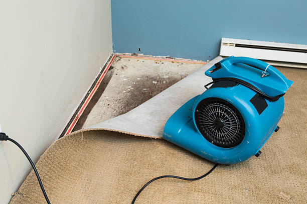  Rural Hall, NC Water damage restoration Pros